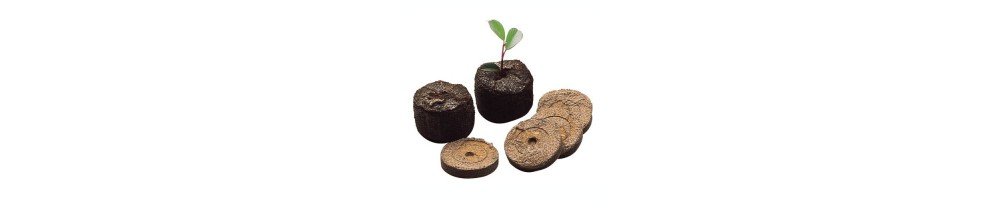 Germinadores Cultivo