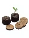 Germinadores