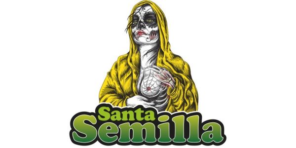 Santa Semilla