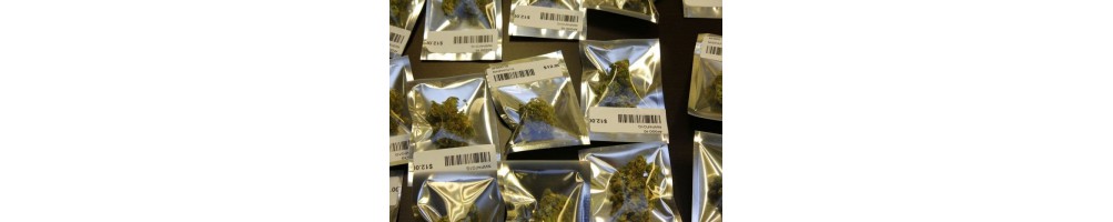 Conservacion Cannabis