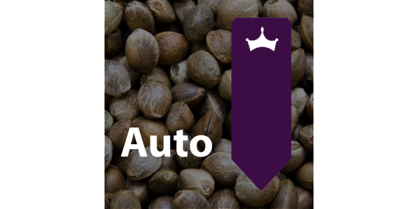 Automáticas