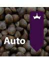 Automáticas