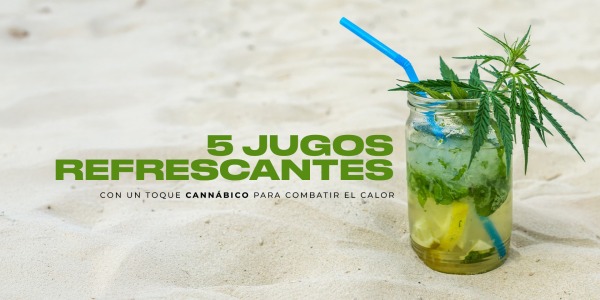 5 Jugos Refrescantes con un Toque Cannábico para Combatir el Calor