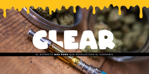 Clear: El Extracto Más Puro que Revoluciona el Cannabis