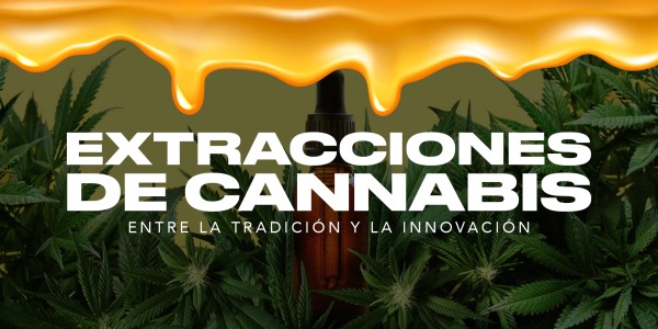 Extracciones de Cannabis: Lo Mejor de Hash y los Solventes