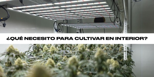 ¿Qué necesito para cultivar en interior?