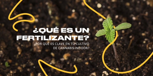 ¿Qué es un fertilizante y por qué es clave en tu cultivo de cannabis indoor?
