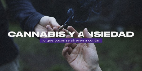 Cannabis y ansiedad: lo que pocos se atreven a contar