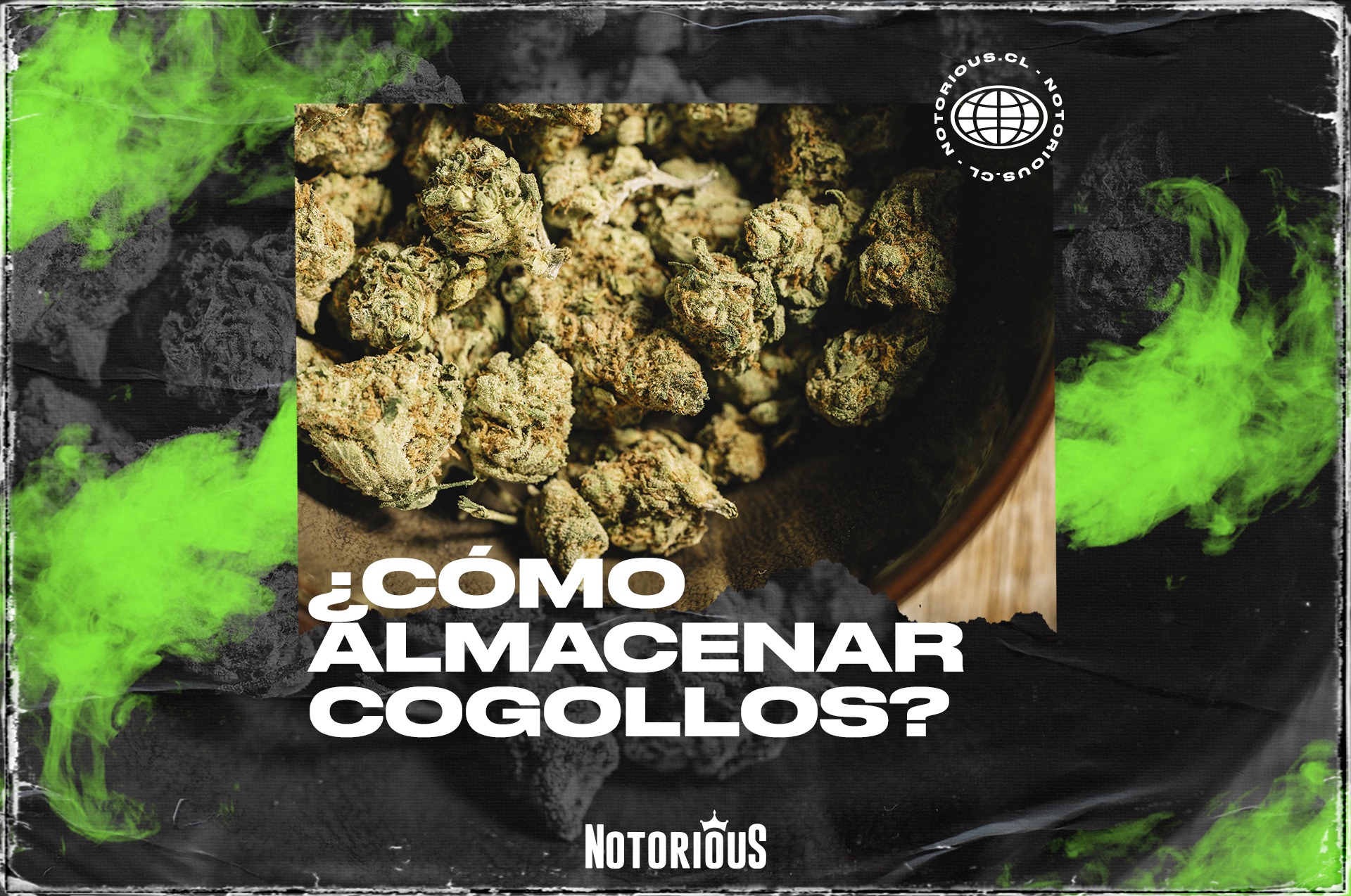 Cómo preservar el aroma de los cogollos de marihuana - RQS Blog