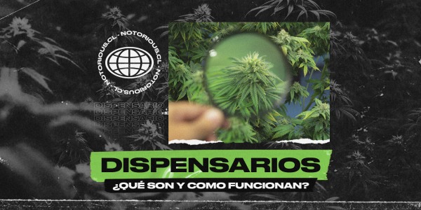 Dispensarios, ¿qué son y cómo funcionan?