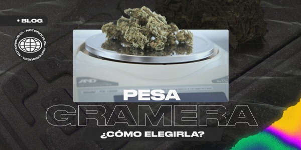 Por qué y cómo elegir una pesa gramera