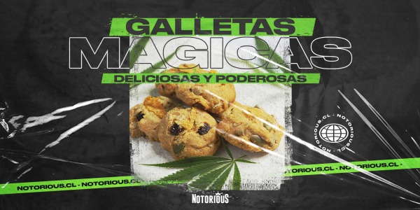 Galletas Mágicas! Deliciosas y poderosas